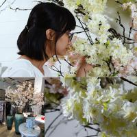 uploads/erp/collection/images/Home Garden/CongDing/XU0612362/img_b/XU0612362_img_b_3